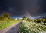 England & The Shires portfolio