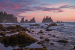 Olympic National Park portfolio