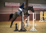 LINK_TO - NorthcoteStud Sun9thFeb'14 WinterUnaff. ShowJumping portfolio