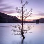 Derwent Reservoir portfolio