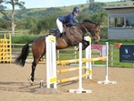 LINK_TO Northcote Sat14thSept'19 Unaff.Jumping portfolio
