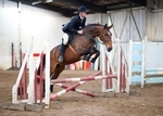LINK TO - BartonEC Wed5thJune'13 Unaff.ShowJumping portfolio