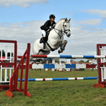 AYR COUNTY SHOW
