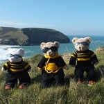 Kernow Bears Gear portfolio