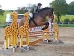 LINK_TO HarrogateRC Sun4thNov'18 Unaff.Jumping portfolio