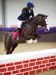 Equestrian Events 2014