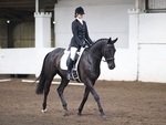 LINKS TO - Equestrian Events Dec '11 portfolio