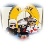 Ahoy VIBs On Pirate portfolio