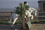 Coteley Hunt PC Arena Eventers 26-02-17