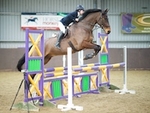 LINK_TO Northcote Sun24thFeb'19 Unaff.Jumping portfolio