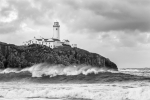 Black & White portfolio