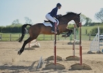 LINK_TO HarrogateRC Sat20thApril'19 EasterShowDay2 Snr.BSJumping portfolio