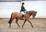 LINK_TO BartonDressage 22ndAugust'15 portfolio