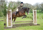 LINK TO - BartonEC Sat4thMay'13 T'BlazersWorkingHunter portfolio