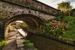Bridges 31 to 40 portfolio