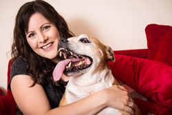 Bergan the Staffie portfolio