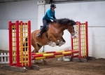 LINK_TO - BartonEC Wed16thApril'14 Unaff.ShowJumping portfolio