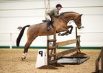 LINKS TO - Equestrian Events Feb'13 portfolio