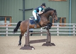 Link_TO - NorthcoteSun1stJune'14, UnaffShowJumping, SeniorsOnly portfolio