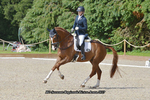 British Dressage Regionals Bicton Arena 17th -19th