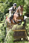 Tarrant Gunville Show 2017