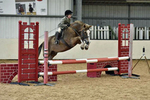 Cattistock Hunt PC Team & Individual SJ 12-04-17