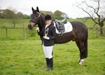 LINK TO - BartonEC DressageWinners Tues8thMay'12 portfolio