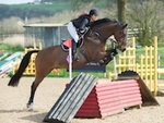 LINK_TO Northcote Sat23rdMarch'19 ArenaXC portfolio