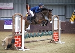 LINK_TO - Northcote Sun14thDec'14 UnaffShowJumping portfolio