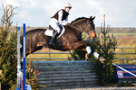 Downe Fm Event Centre Arena Eventers 12/11/2017