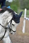 BS Area 50 Show at Bicton Arena 07-05-2017