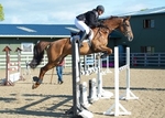 LINKS TO - Equestrian Events June'13 portfolio