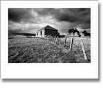Nobody Home portfolio