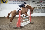 LINK TO - Barton EC, Sat_12th_March_'11 Senior_BSJA_ShowJumping portfolio