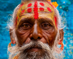 INDIA portfolio