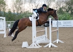 LINK TO - South View, Sun20thMay '12 Unaff.ShowJumping portfolio