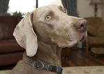 LINK_TO - Lennox_Oct_'11