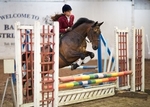 LINKS TO - Equestrian Events July'12 portfolio