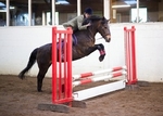 LINK_TO - BartonEC_Wed30thApril'14 Unaff.ShowJumping portfolio