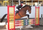 LINK TO - BartonEC Sun27thJune'12 SummerRC_ShowJumping portfolio