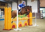LINK_TO Northcote NorthcoteUnaff. ShowJumping 23rdJan'16 portfolio