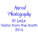 RT Visitor from the North 2016 portfolio