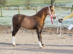 LINK TO - BartonEC_Sun2ndDec'12 WinterRC_Showing Class1_Only portfolio