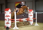 LINK_TO - NorthcoteStud Thurs6thFeb'14 SeniorBS_Jumping portfolio