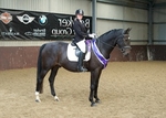 LINK_TO - Northcote21stSept'14 DressageFinals portfolio