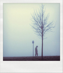 Polaroid Dreams portfolio