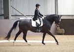 LINK_TO Northcote 5thApril'15 DressageFinals portfolio