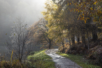 Most Popular Images portfolio