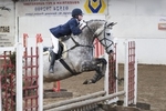 LINK TO - Barton EC, Sat_26th_Feb_'11 Arena_Eventing_Jumping_Only portfolio