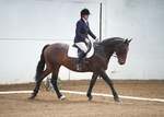 LINK_TO - BartonEC Sat12thOct'13 Unaff.Dressage portfolio